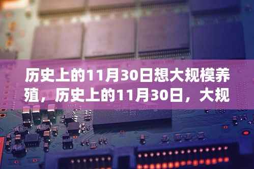 11月30日与大规模养殖的起源发展,历史回顾与探究