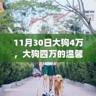 大狗四万,意外友情之旅的温馨日常