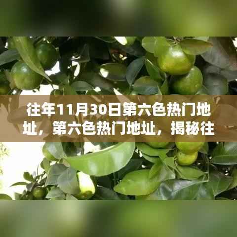 揭秘往年11月30日第六色热门地址的辉煌与影响力