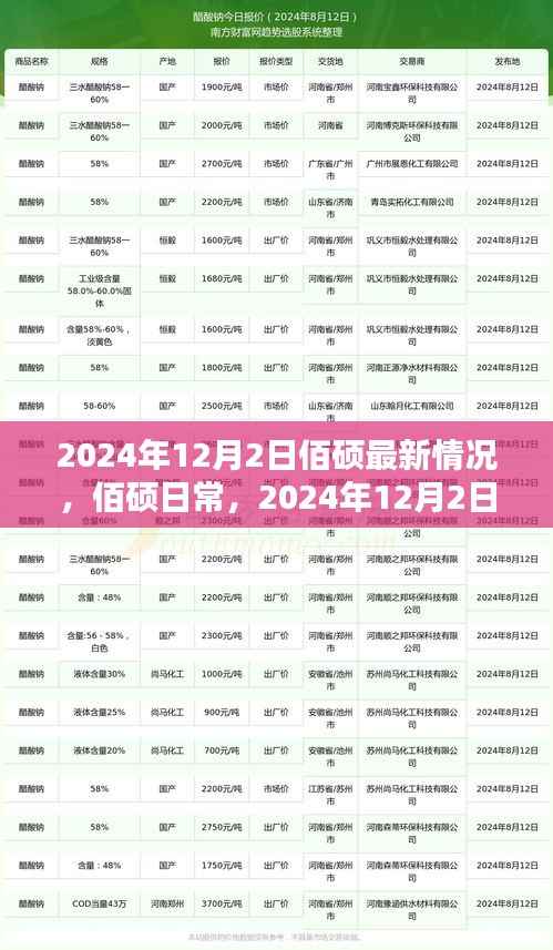 佰硕日常,2024年12月2日的最新动态与温暖时光