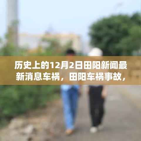 历史视角下的田阳车祸事故深度剖析，最新消息回顾与反思（田阳新闻车祸事故）