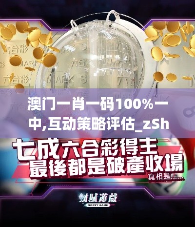 澳门一肖一码100%一中,互动策略评估_zShop17.247-4
