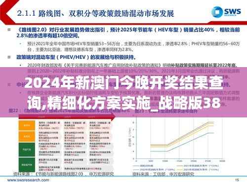2024年新澳门今晚开奖结果查询,精细化方案实施_战略版38.310