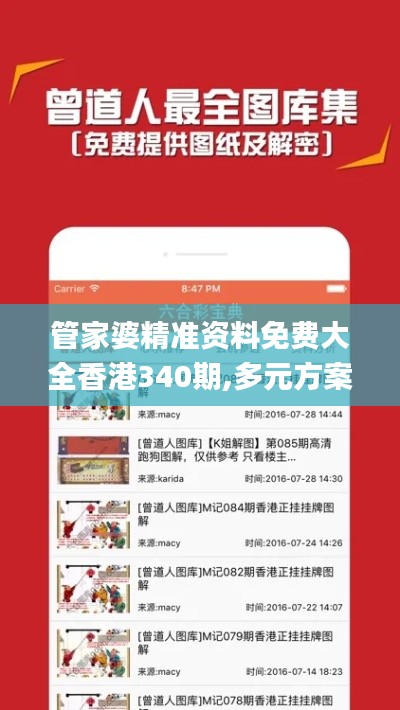 管家婆精准资料免费大全香港340期,多元方案执行策略_10DM14.248