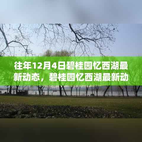 碧桂园忆西湖往年12月4日最新动态揭秘,精彩瞬间回顾