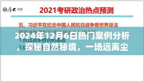 揭秘自然秘境,一场心灵之旅与热门案例解析的交融——2024年12月6日深度案例研究