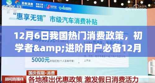 12月6日我国热门消费政策详解，初学者与进阶用户指南及实施步骤