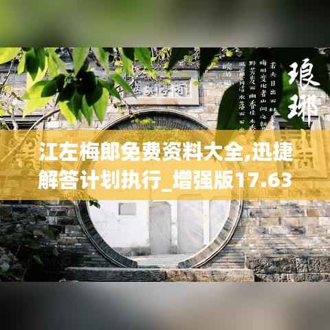 江左梅郎免费资料大全,迅捷解答计划执行_增强版17.638