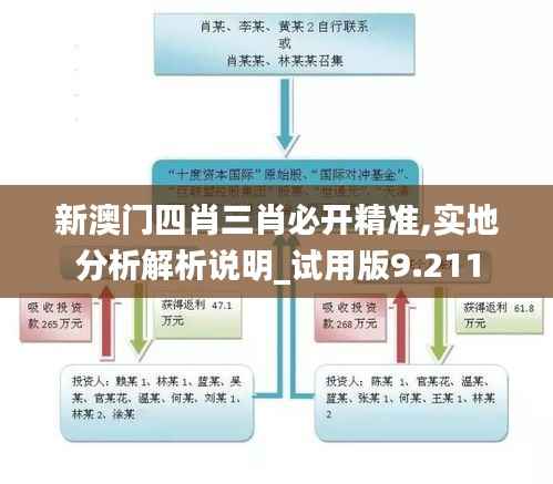 新澳门四肖三肖必开精准,实地分析解析说明_试用版9.211