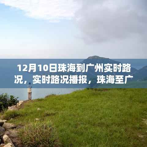 12月10日珠海至广州实时路况详解,路况播报与交通分析