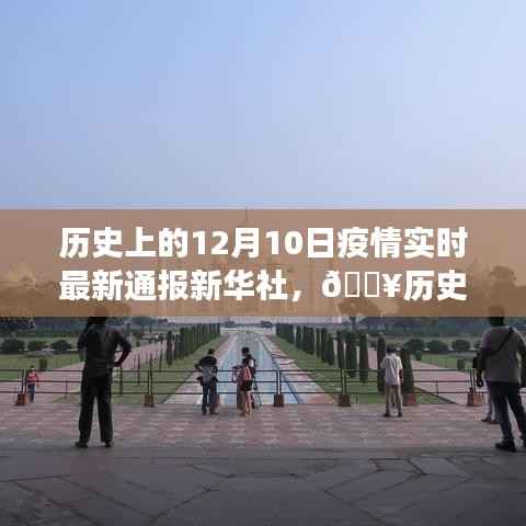 🔥历史上的12月10日,新华社疫情实时通报APP引领高科技革新之旅🚀