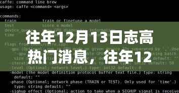 往年12月13日志高热门消息深度解析与个人观点阐述