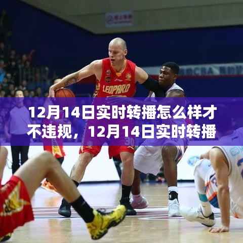 12月14日实时转播合规指南,如何避免违规进行在线直播