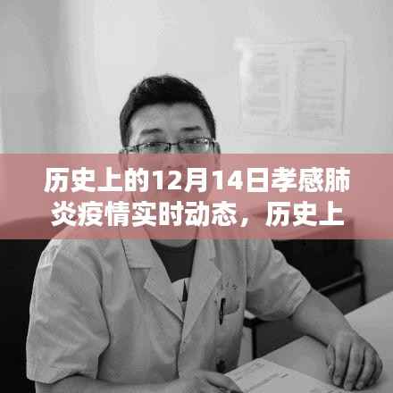 历史上的12月14日孝感肺炎疫情实时动态,多元观点下的探讨与影响分析
