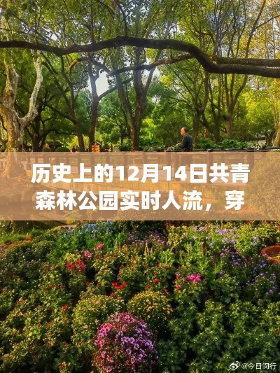 穿越时光,探寻共青森林公园绿色征途的心灵之旅——12月14日实时人流纪实