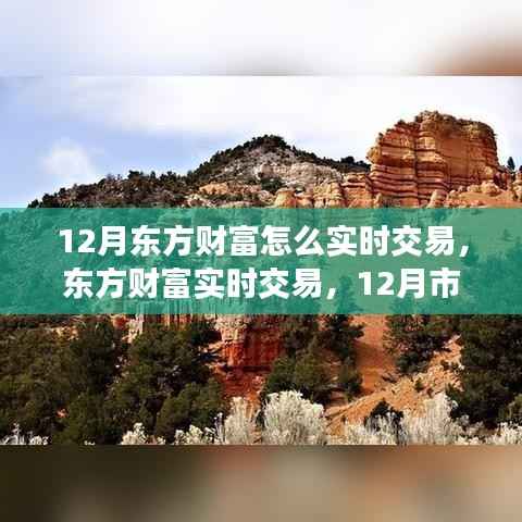 12月东方财富实时交易指南,市场风云变幻下的独特投资策略