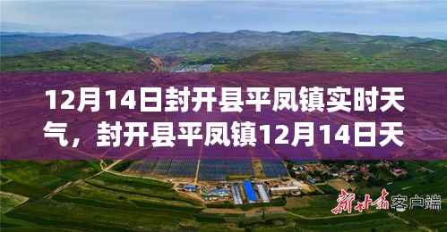 封开县平凤镇12月14日天气概况，实时分析、影响探讨及应对观点