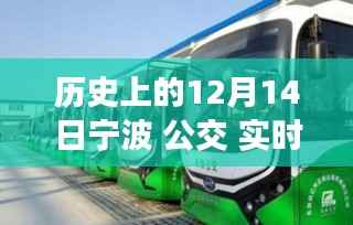 宁波公交革新历程,智能出行新纪元,历史上的十二月十四日回顾