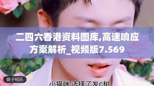 二四六香港资料图库,高速响应方案解析_视频版7.569