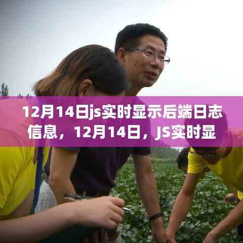 JS实时显示后端日志信息的革新之旅(12月14日更新)