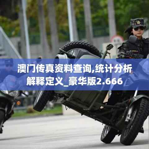 澳门传真资料查询,统计分析解释定义_豪华版2.666