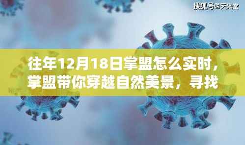 掌盟带你穿越自然美景,寻找内心的平和与宁静——往年掌盟实时活动回顾