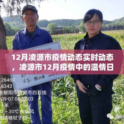 凌源市十二月疫情动态,温情日常中的守护与陪伴力量