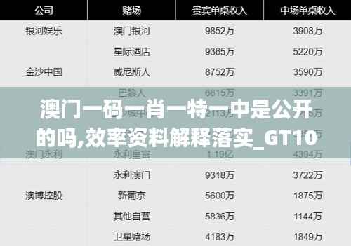 澳门一码一肖一特一中是公开的吗,效率资料解释落实_GT10.225