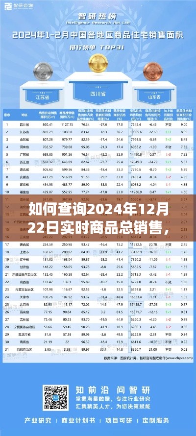 2024年12月22日实时商品总销售查询详细步骤指南