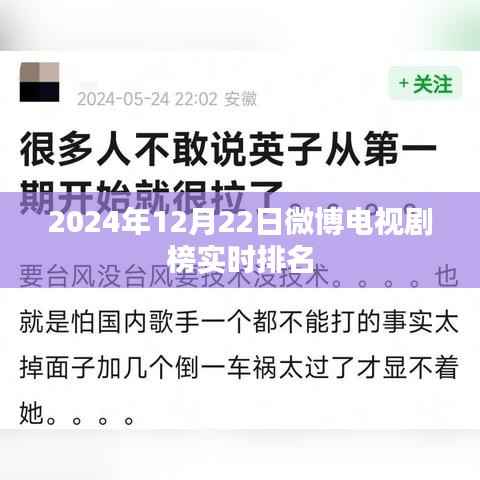 公司概况 第262页