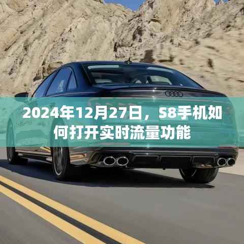 S8手机实时流量功能开启教程,2024年12月操作指南