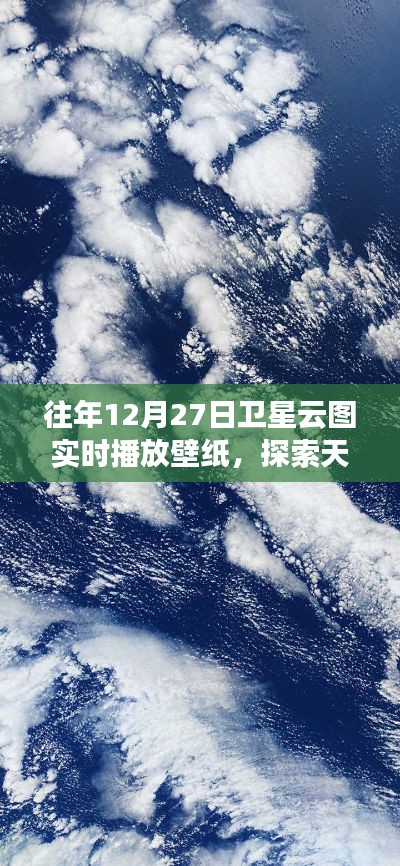 走马章台 第3页