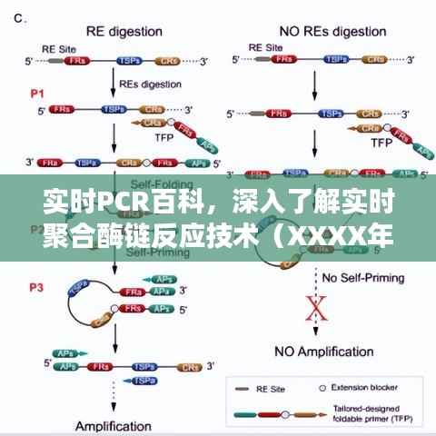 实时PCR技术百科,深入了解聚合酶链反应技术最新解读