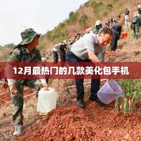 公司概况 第231页