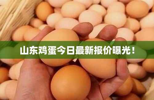 山东鸡蛋今日最新报价曝光!