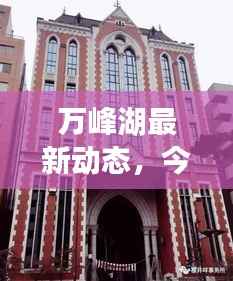 万峰湖最新动态，今日消息一网打尽