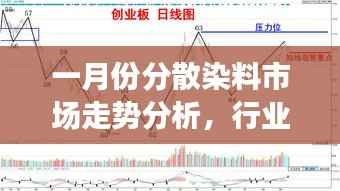 一月份分散染料市场走势分析,行业行情大揭秘!