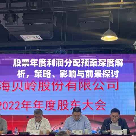 股票年度利润分配预案深度解析,策略、影响与前景探讨