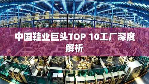 中国鞋业巨头TOP 10工厂深度解析