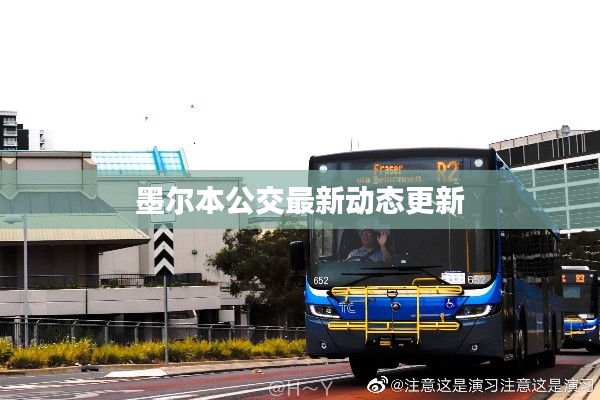 伸手不见五指 第2页