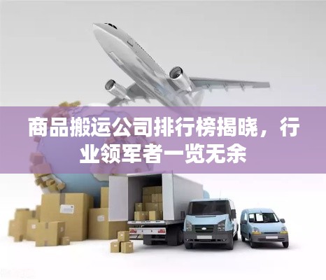 公司概况 第145页