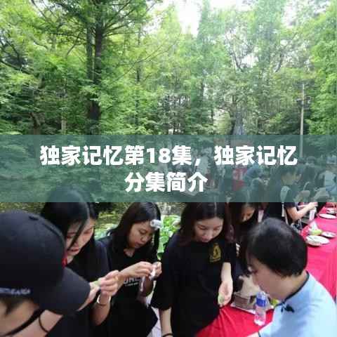 独家记忆第18集,独家记忆分集简介