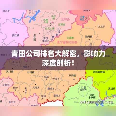 青田公司排名大解密，影响力深度剖析！