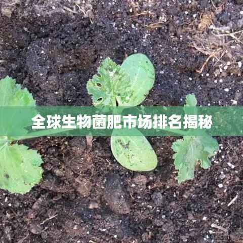 全球生物菌肥市场排名揭秘