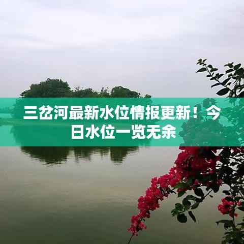 三岔河最新水位情报更新!今日水位一览无余