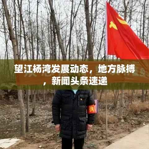 望江杨湾发展动态,地方脉搏,新闻头条速递