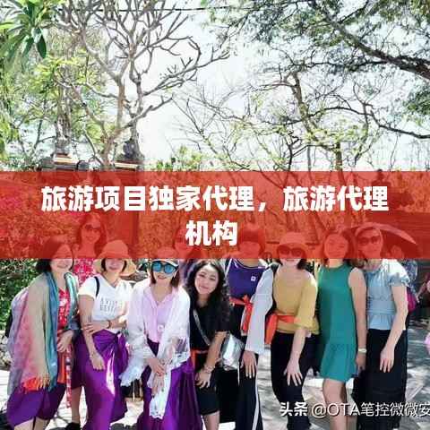 旅游项目独家代理,旅游代理机构