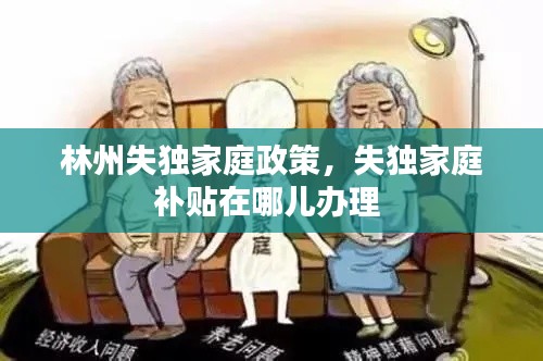 林州失独家庭政策，失独家庭补贴在哪儿办理 