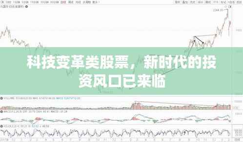 科技变革类股票,新时代的投资风口已来临