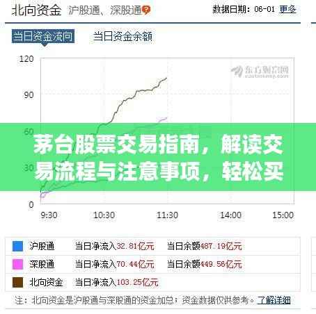 茅台股票交易指南,解读交易流程与注意事项,轻松买卖茅台股票!